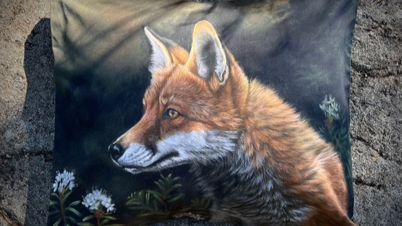 Illustrated fox pillowcase displayed on a sunlit rock.